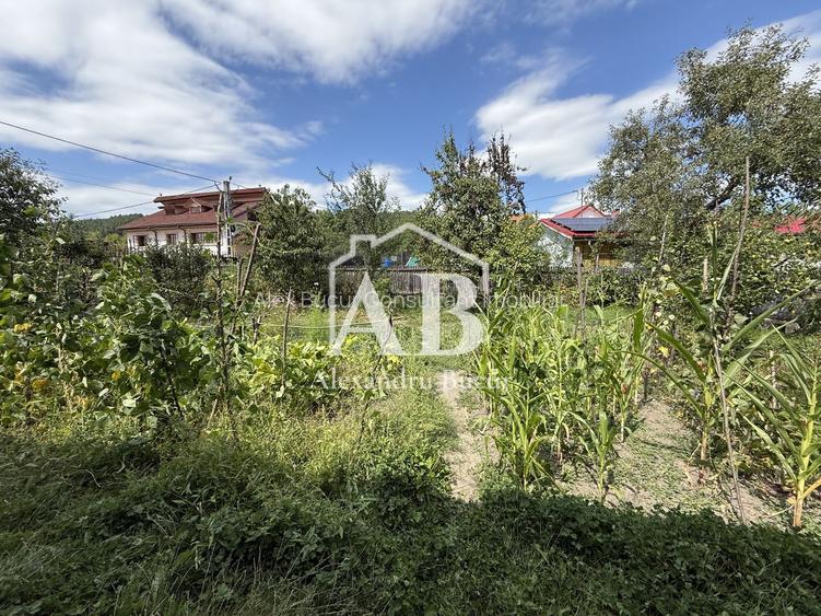 Casă de vânzare - Dărmănești - Teren 860mp - Pomi fructiferi - 6