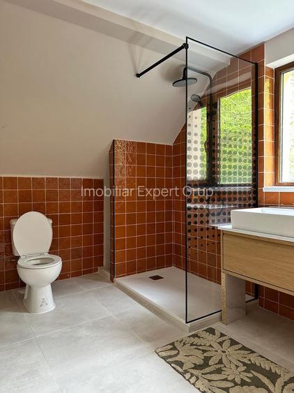Casă renovată premium, Drajna de Sus, Prahova 3029 mp - 26