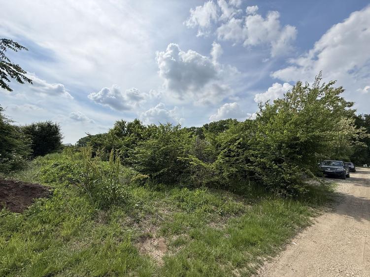 Teren intravilan 498,02 mp langa pădure , strada privata Corbeanca