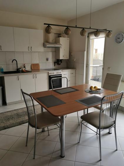 Duplex de inchiriat,110 mp utili ,350 m teren ,zona Muzeul Apei