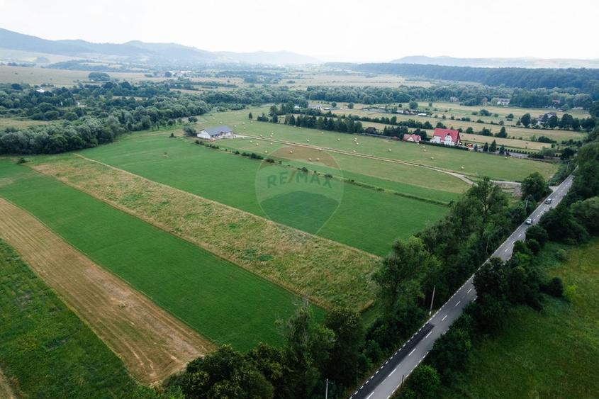 Teren 10,000mp Nemtisor / DJ 155C