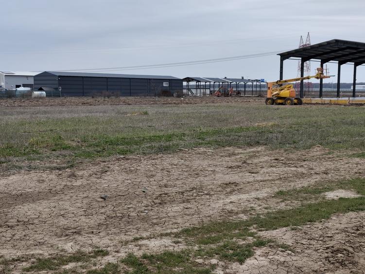 FARA COMISIOANE LOTURI TEREN CONSTRUCTII HALE in ZONA DE HALE merita vazut
