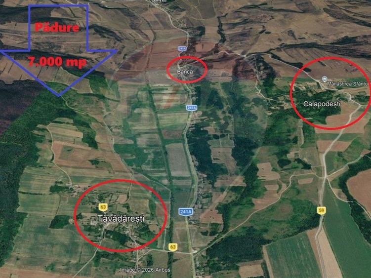 Padure de vanzare – 7.000 mp, Dealu Morii, jud. Bacau
