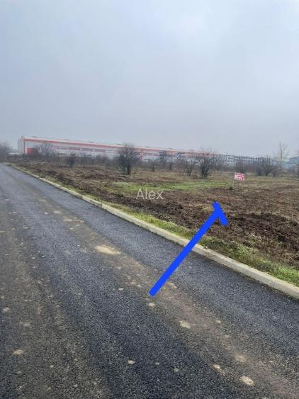 de vinzare teren 5700 mp Clinceni - 12