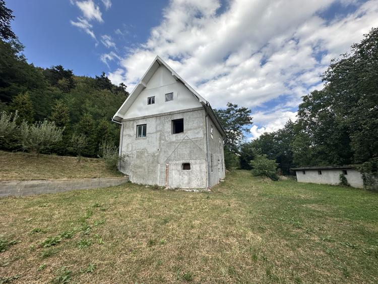 Casa de lux, cu vedere panoramica asupra muntilor, 2600mp teren Gura Raului