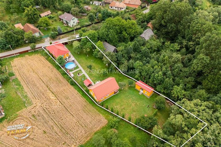 FILM! Doua case cu:piscina,foisor,arbori decorativi,1.700mp teren,Lutoasa,Covasn - 30