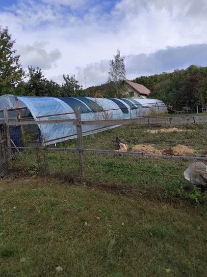 Casă cu teren 1.500 mp în Lunca Mare, com. Șotrile – 78.000 € (negociabil)
