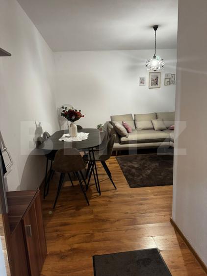 Apartament 2 camere, 48 mp ,gradina, zona Cetății