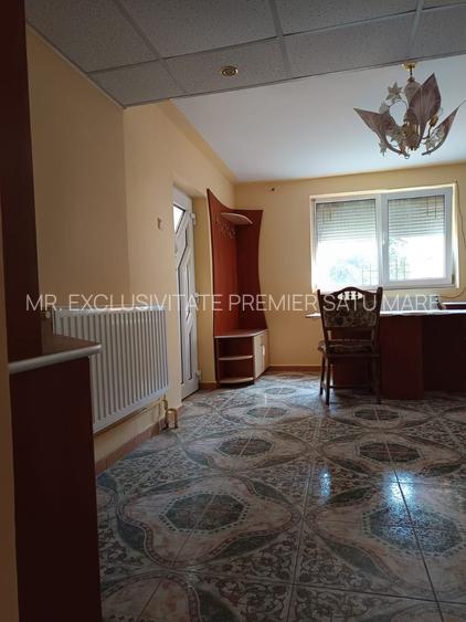 Vilă P+E de vânzare în Valea lui Mihai – 233 mp, teren 733 mp - 27