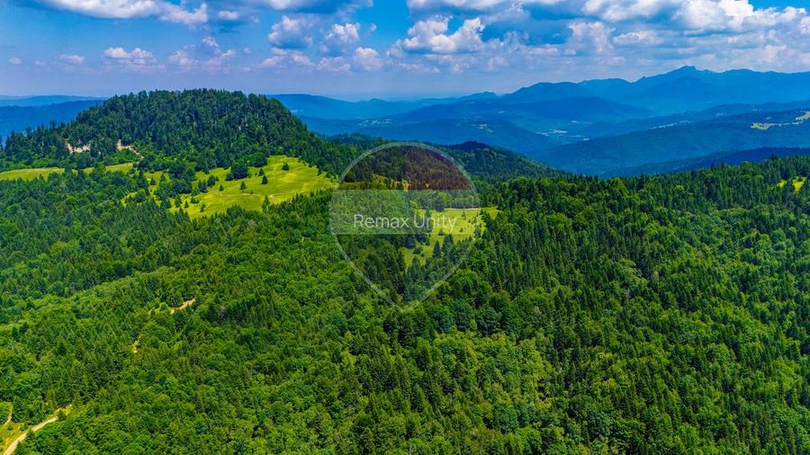 Refugiu în natură la Săcele | Teren 7.000 mp cu râu | Comision 0% - 13