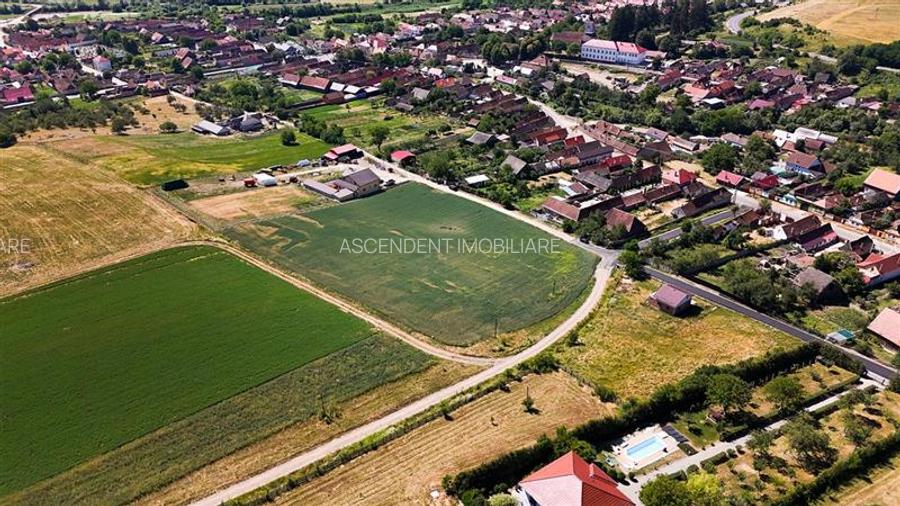 5 loturi casa Maierus,1.375mp,langa DN13, Doripesco,Brasov: 35min, zona verde:FI - 16