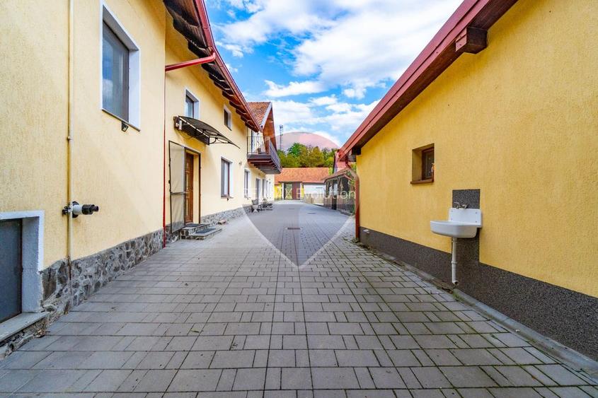 Proprietate de Poveste/ MANDRA/ DE VANZARE!- piscina exterioara! - 9