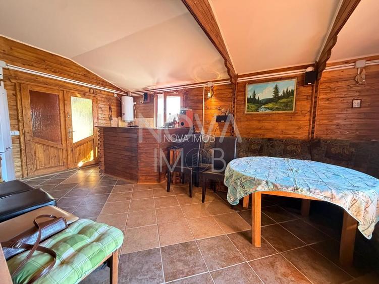 CASA DE VACANTA CU TEREN GENEROS, VALE – SALISTE