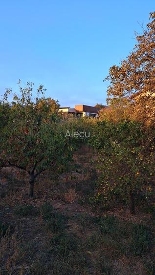 Oportunitate dezvoltare/constructie  2 proprietati Casa+teren 2200 m2,zona buna, - 8
