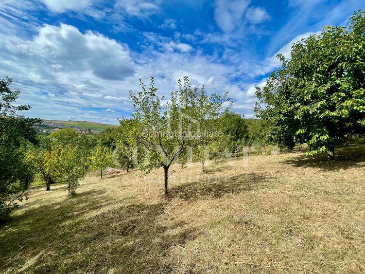 Casă + 1 apartament separat pe teren de 1.949 mp  cu panoramă Chinteni - 29