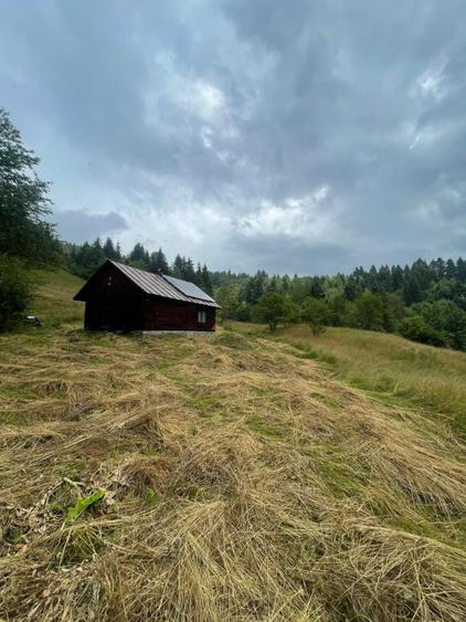 Cabană de vacanță, 60 mp, teren generos de 83 ari, zona Borșa, Maramureș