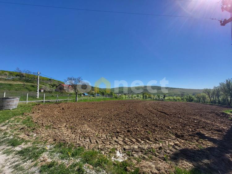 Teren intravilan de vânzare | 2942 mp | Ciurila, Cluj