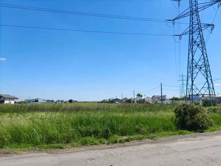Teren intravilan 10.000 mp, Sabareni, Giurgiu | Deschidere 33 ml | Pozitie excel
