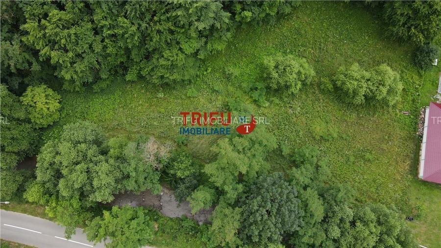 Teren ideal pentru cabană sau pensiune în Poiana Galdei - 15