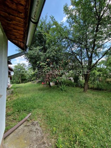 Balilesti - Stradal, casa spatioasa, 4600 mp teren intravilan - curte spatioasa - 22