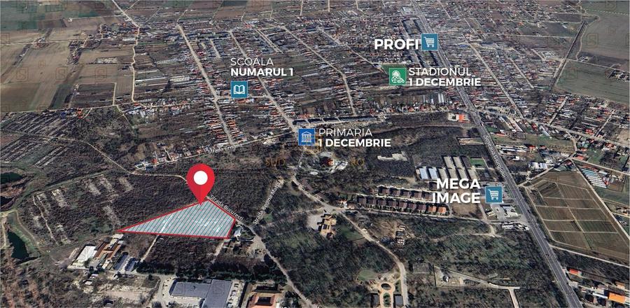 Teren 19.470 mp, investitie ideala, Green City -1 Decembrie, Ilfov