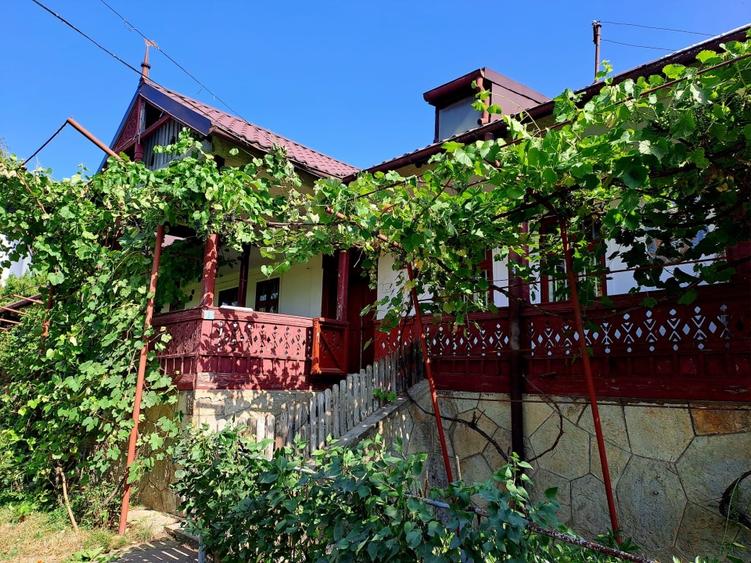 Resedinta vacanță in mediu rural intravilan