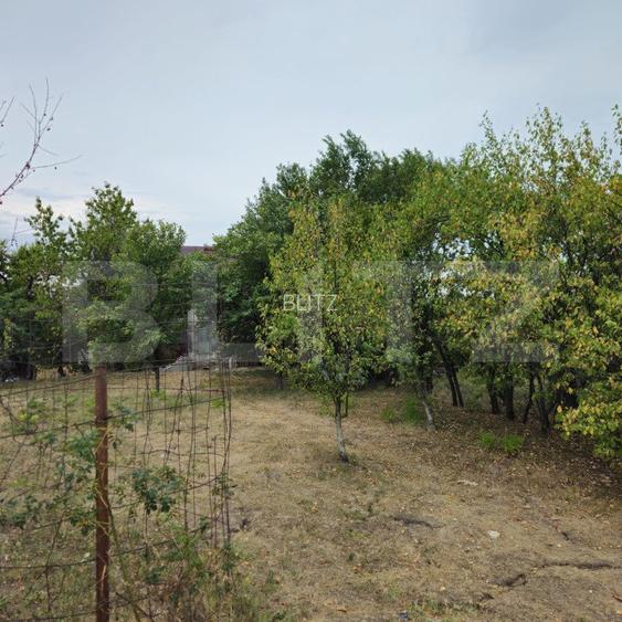Teren extravilan 17524 mp, expunere sudica, Viforata - 15