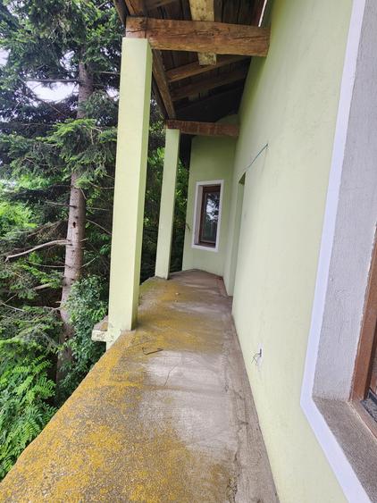 Vand casa mare și teren mare în Peciu Nou