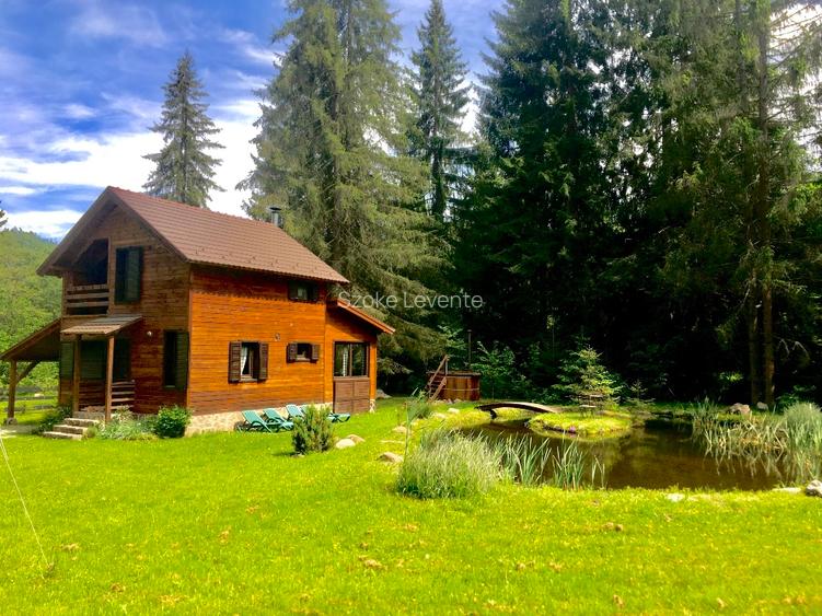 Casa din lemn pe marginea paraului Borzont