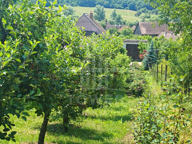 Casă săsească autentică în Bruiu (Sibiu) - 18