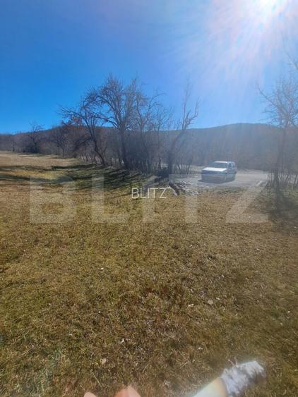 Teren intravilan, perfect pentru casa de vacanta, 5000 mp, Almasu Mare - 2
