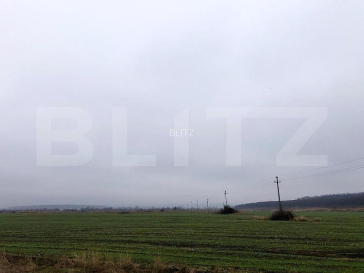 Teren intravilan industrial, 41.000 mp, front 117 m, Ișalnița - DE70 - 5