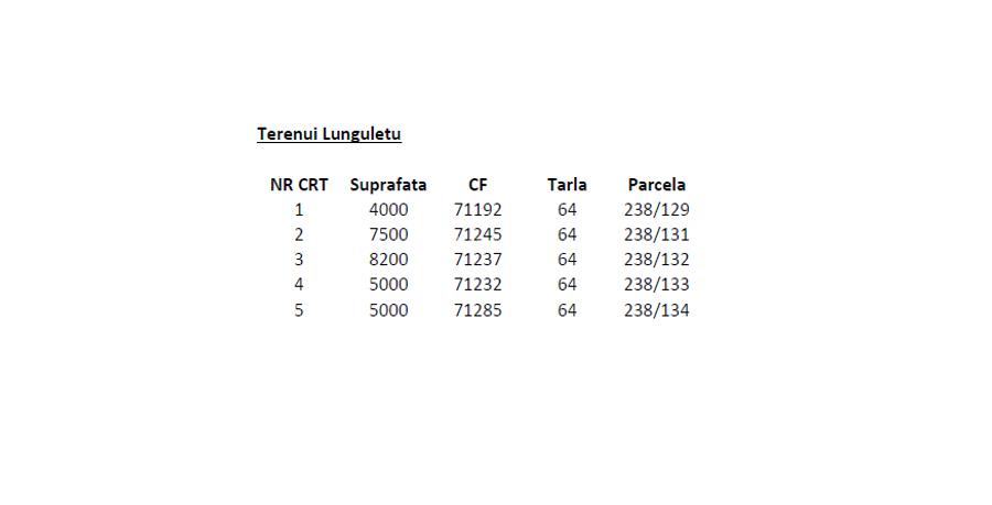 Teren intravilan DN7 Lungulețu – 28.331 mp – ideal hale agricole - 3