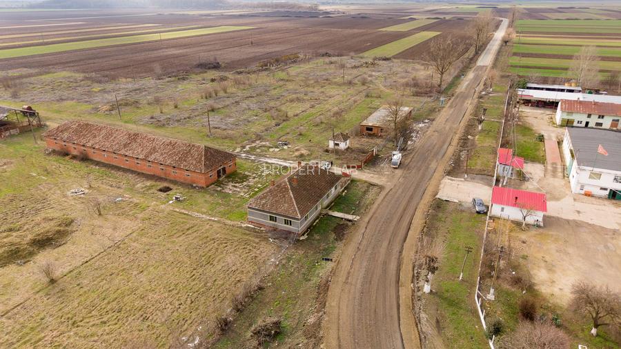 Fermă cu teren intravilan de 35000 mp în Mișca - 28