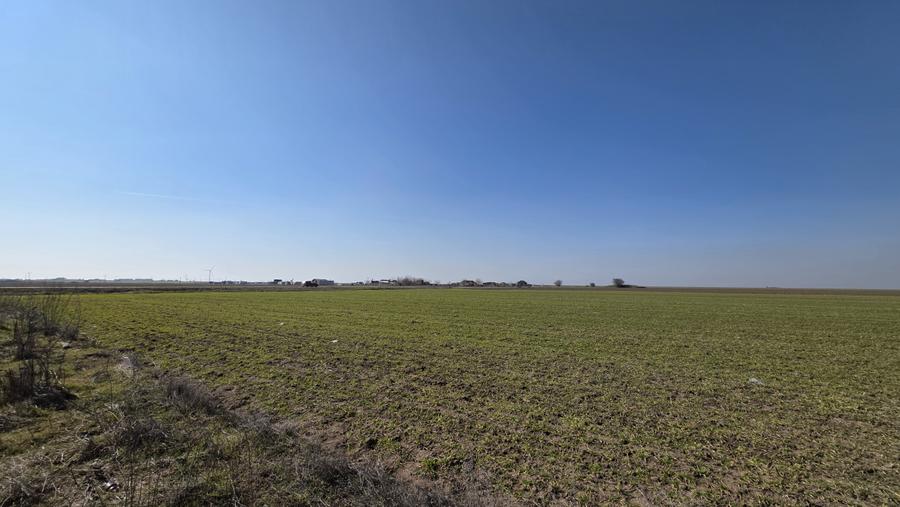 Teren intravilan 500 mp in Corbu, ideal pentru investitie