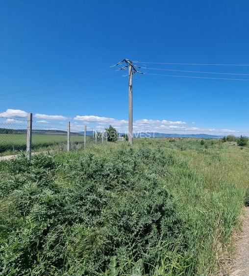 Teren Industrial în Sebeș-Petrești – 4.246 mp, Deschidere 123 m - 3