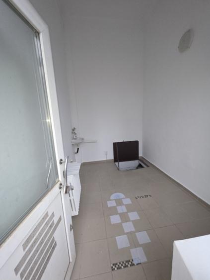 Inchiriere Spatiu Comercial Vasile lascar Dacia