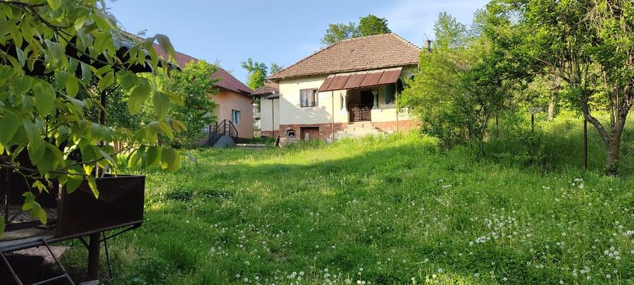 Casa+ casa batraneasca Surupate(Comuna Francesti, Valcea)