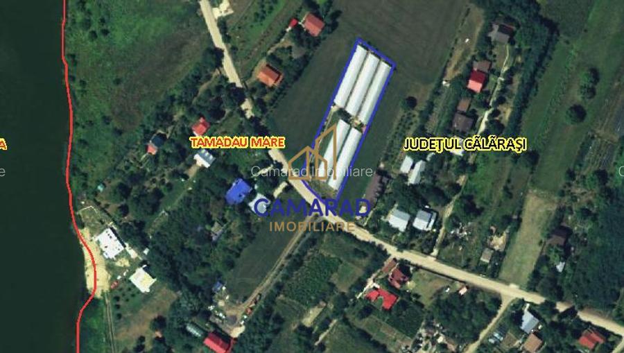 Teren intravilan vânzare - 2.750 mp – Dârvari/Tamadalu Mare (județul Călărași) - 9