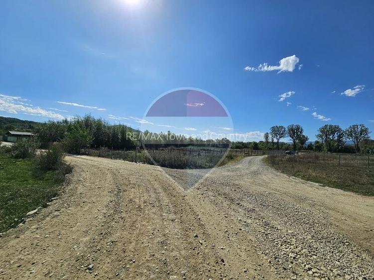 Teren 3,000mp Tisa / Drumul Laga lac - 7