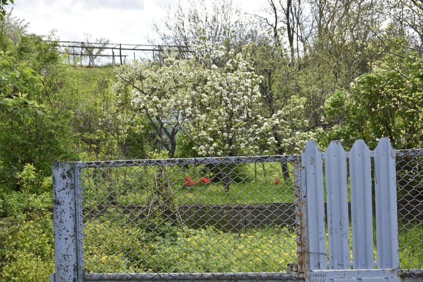 CASĂ TRADIȚIONALĂ CU GRĂDINĂ GENEROASĂ ȘI VIE – ISACCEA, JUD. TULCEA