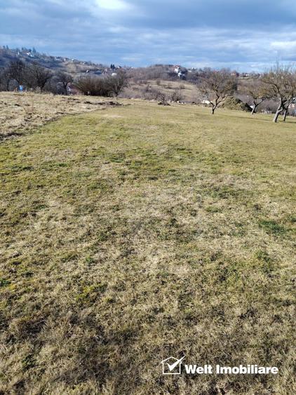 Ocazie/ Teren de vanzare in FELEAC