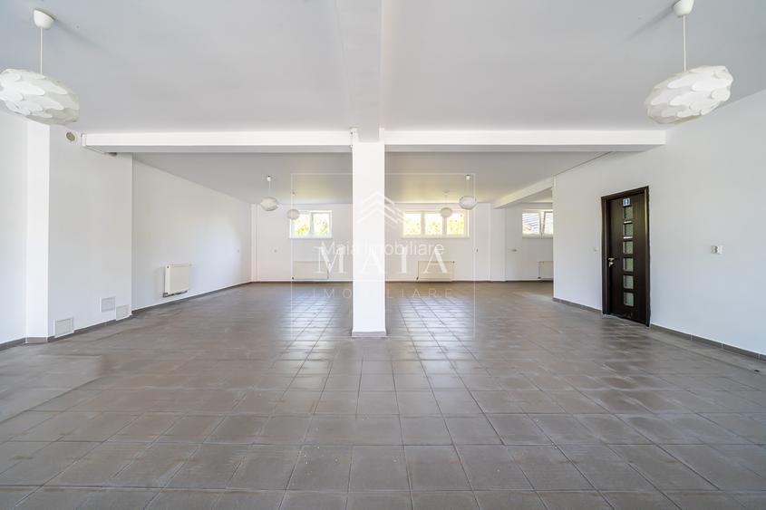 Spatiu comercial, 110 mp, Calea Dumbravii - 4
