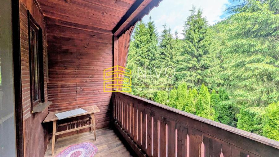 Cabană – Mureș – Sălard – Zona Pensiunea Denisa - 9