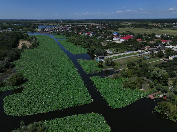 Teren premium cu deschidere la lacul Snagov-Tancabesti