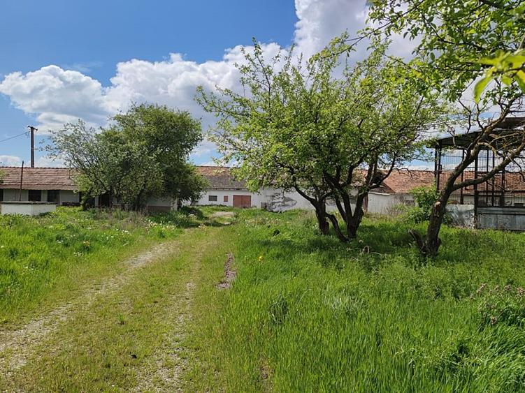 Teren parcelabil, 4,1 Ha, Brașov - Bod. Negociabil!