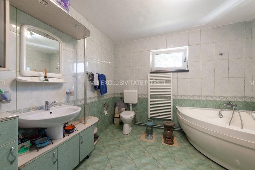 Casa visurilor cu 4000 mp livada roditoare si gradina Darmanesti-Arges - 21