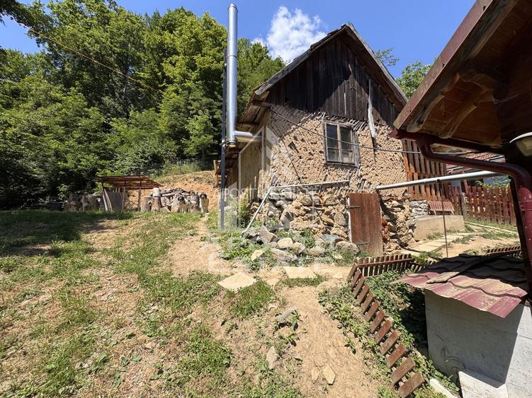Casa din lemn, zona muntoasa, cu rau, la cheie, Ribita, Hunedoara - 45