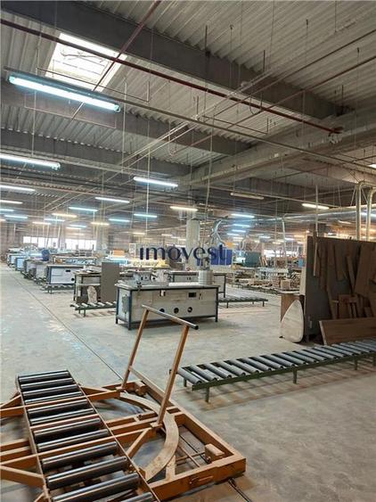 DE VANZARE COMPLEX INDUSTRIAL SATU MARE