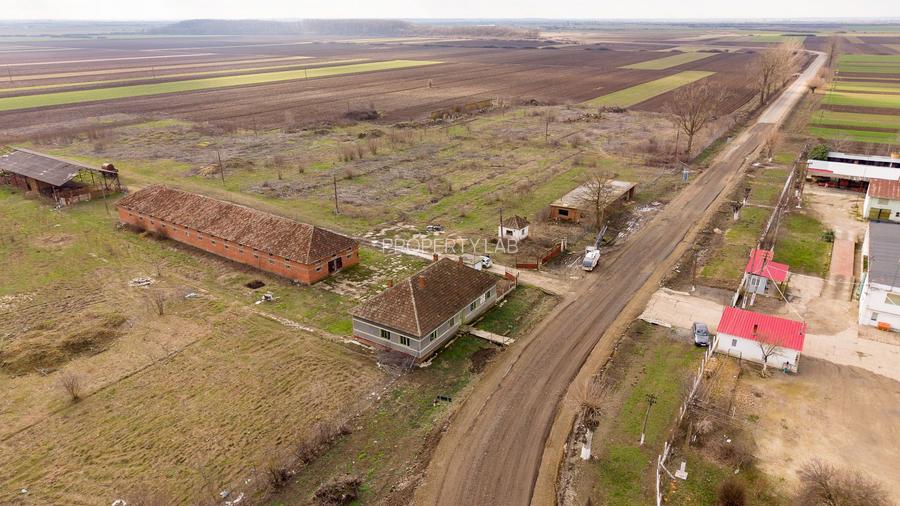 Fermă cu teren intravilan de 35000 mp în Mișca - 24